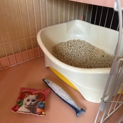 キャットゲート2段とトイレ、吸水器せセットの画像