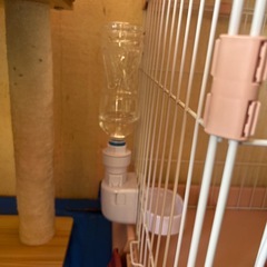 キャットゲート2段とトイレ、吸水器せセットの画像