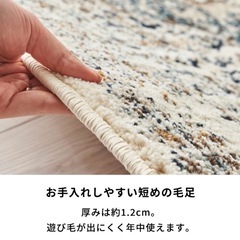 ラグ　Amira  130×190cm の画像