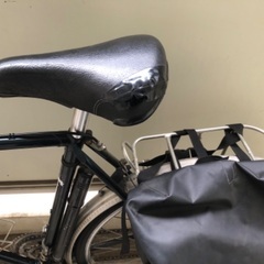 ミヤタの画像