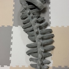 恐竜　骨　コスプレ　ハロウィンの画像