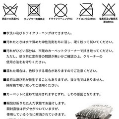 ラグ　Amira  130×190cm の画像