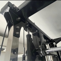 Anyagefitness 5in1 プレートセット 100kg　スミスマシンの画像