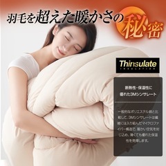 シンサレート 掛け布団 掛けふとん セミダブル 170x210cm ベージュの画像