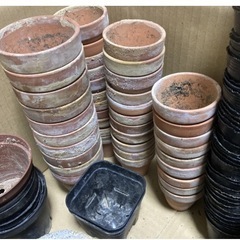 1.2.3号鉢　たくさんセット　の画像