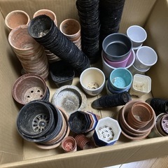 1.2.3号鉢　たくさんセット　の画像