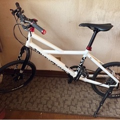 Cannondale キャノンデール hooligan フーリガンの画像