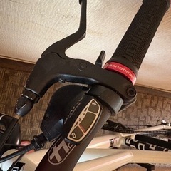 Cannondale キャノンデール hooligan フーリガンの画像