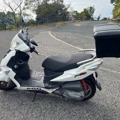 原付二種スクーター　PGO　ティグラ125　絶好調！の画像