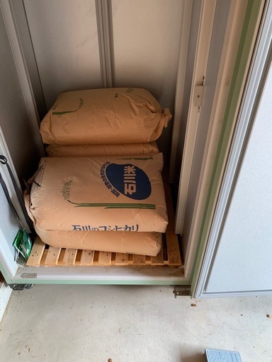 令和６年産ヒノヒカリ