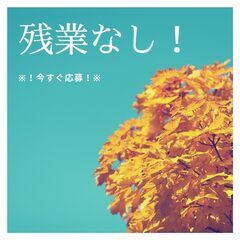 夜勤時短❗1日8件だけの配送ドライバー🚚Wワーク歓迎🤩交通費支給＆通勤手段自由🌈A08K0002-5(8)の画像