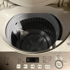 シャープ 6kg 洗濯機 2020製の画像