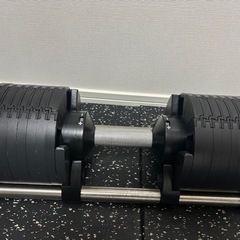 フレックスベル　可変式ダンベル32kg 2kg刻みの画像