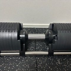 フレックスベル　可変式ダンベル32kg 2kg刻みの画像