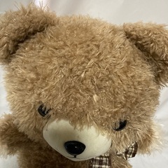 くま　ふわふわぬいぐるみの画像