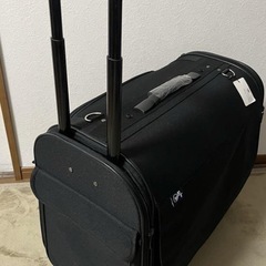 犬のカートの画像