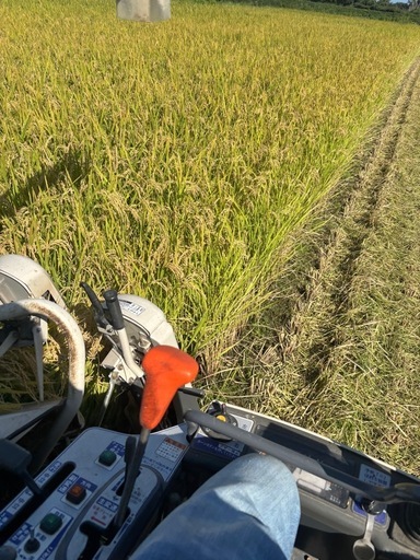 新米30キロ(玄米)