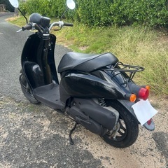 自賠責付きHONDAトゥデイスクーターの画像