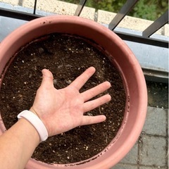 植物鉢とつち土の画像