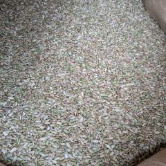 ◆ 令和7年度産 小米 くず米 25kg ◆ 鳥 鶏 小動物の餌に ◆ R7 飼料用の画像