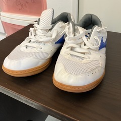 インナーシューズの画像
