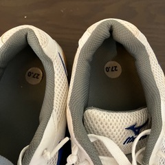インナーシューズの画像