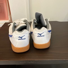 インナーシューズの画像