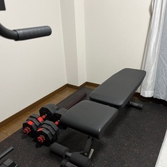 トレーニングせセットの画像