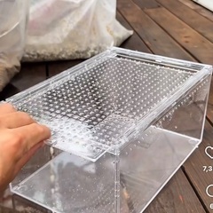 爬虫類ケース プラケースの画像