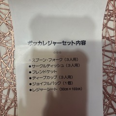 ピクニックセット 新品未使用品の画像