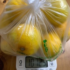 🍊みかんの画像