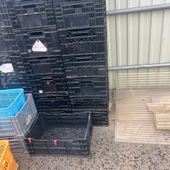 プラスチックコンテナの画像