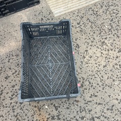 プラスチックコンテナの画像