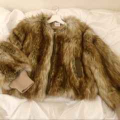SLOBE IENAエコファージャケットの画像
