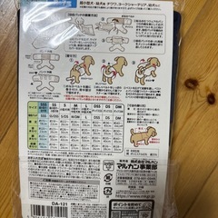 星のパンツの画像
