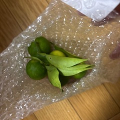 かぼす５個の画像