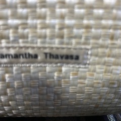 Samantha Thavasaの画像