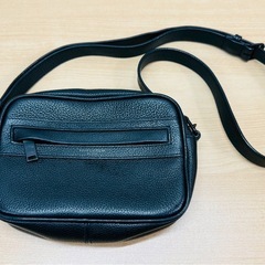 定価約18万円⭐️SAINT LAURENT （サンローラン）小バッグ ⭐️ 本日引取可能な方は30000円に値下げします！ の画像