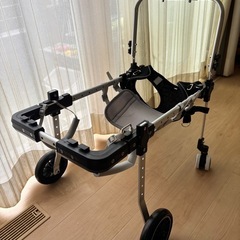 犬用車椅子　の画像