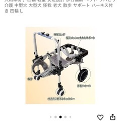犬用車椅子　の画像