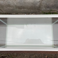 取りに来てくれる方限定！！50センチ水槽の画像