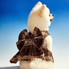犬の服&リード【XS】の画像