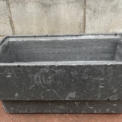 取りに来られる方限定ビオトープに最適！の画像