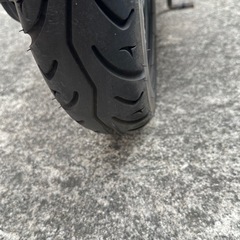 スズキの画像