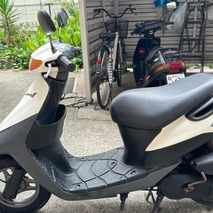 スズキの画像