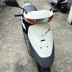 スズキの画像