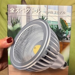 植物育成用ライトの画像