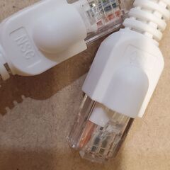 LANケーブル 約2mの画像