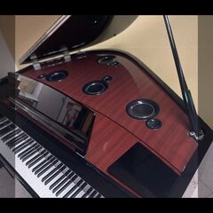 ヤマハ ハイブリットピアノ AvantGrand（アバングランド） N３の画像