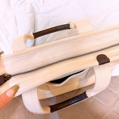 POLO ASSNの画像